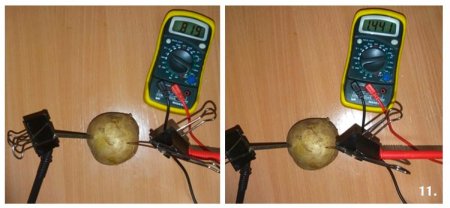 Измерение силы тока и напряжения вареного картофеля