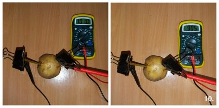Измерение силы тока и напряжения картофеля