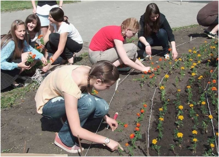 Школьники высаживают цветы на клумбу