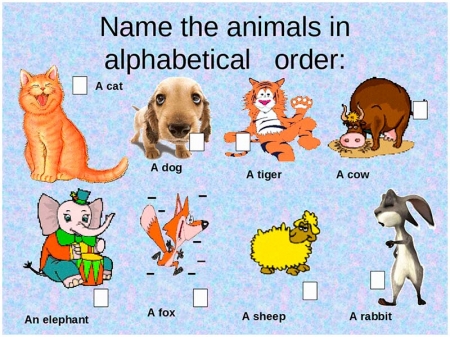 Name the animals in the alphabetical order