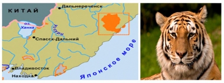 Сихотэ-Алинский государственный природный биосферный заповедник