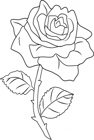 Шаблон розы