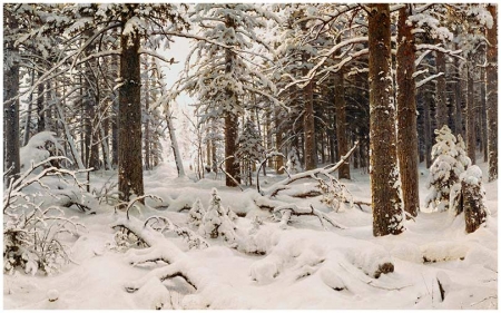 Картина И.И. Шишкина "Зимний лес"