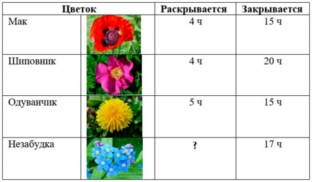Таблица "Время раскрытия и закрытия цветов"
